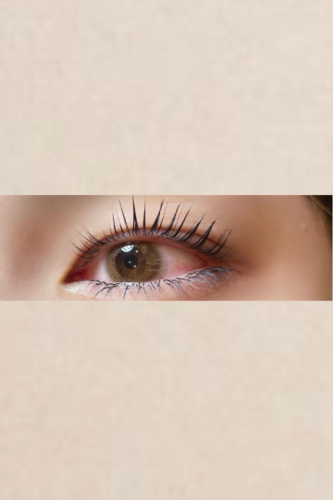 parisienne lash lift