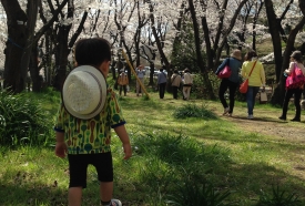 春よ来い